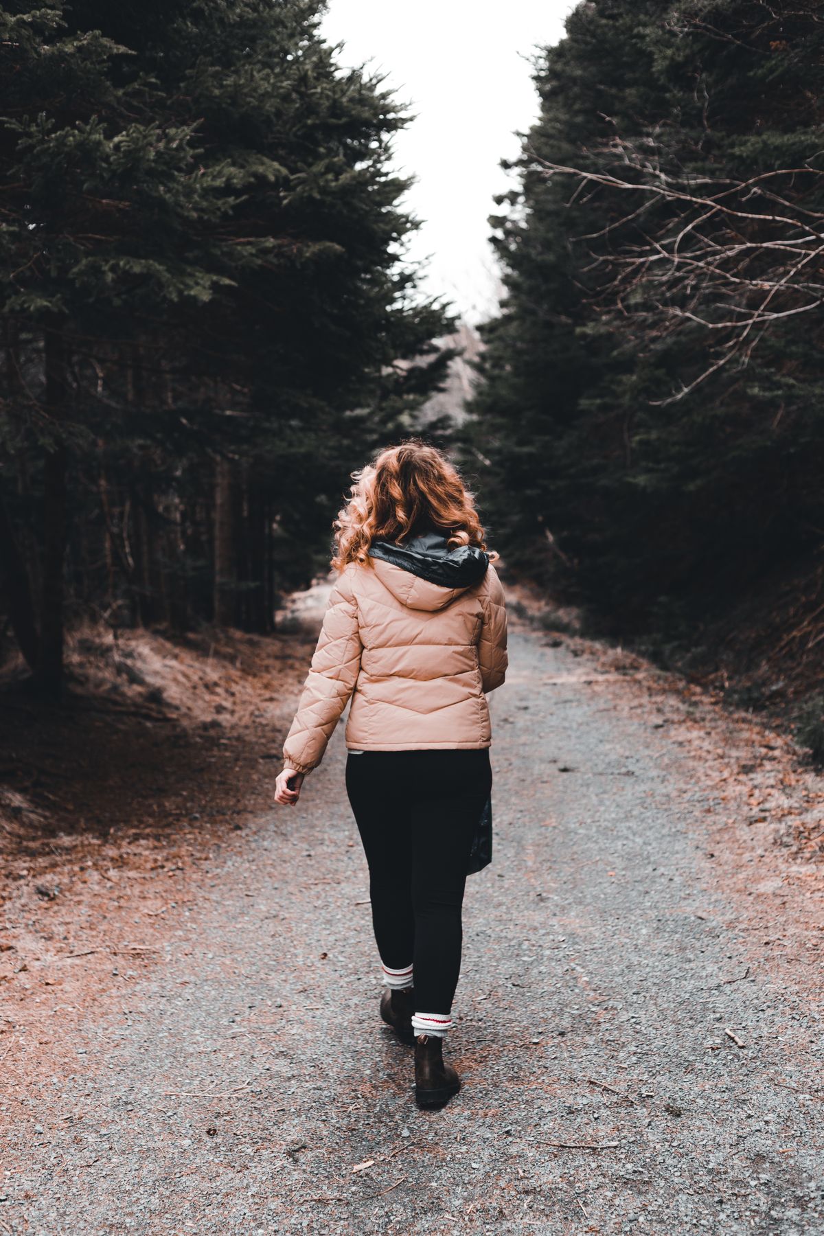 A person walking peacefully along a path near trees in the countryside